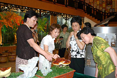 GA黄金甲 GA黄金甲